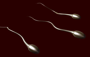 NwitterFullTin2's profile picture. 抜いた回数＝つぶやき回数 (6/27スタート)