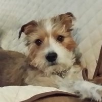 Ani Anderson (@anitagreenworld) 's Twitter Profile Photo