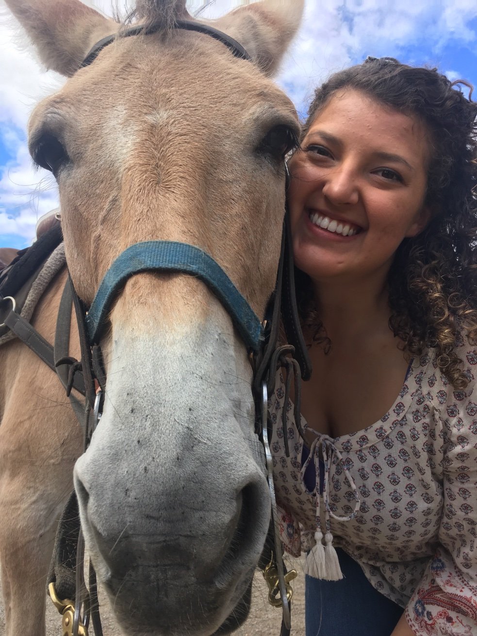 miltyy96's profile picture. RN 👩‍⚕️ Halifax 🌊