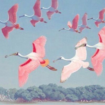 TuutiTuti's profile picture. عيش مجنون فالحياة العاقلة مملة