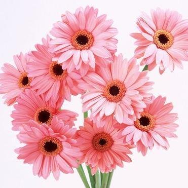 youroldnana's profile picture. book smart vs street smart