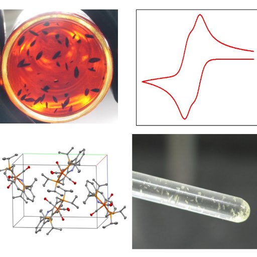 Twitter of the Coordination Chemistry and Catalysis Unit (Prof. Julia Khusnutdinova, OIST). Interests = coordination chemistry, catalysis, polymers!