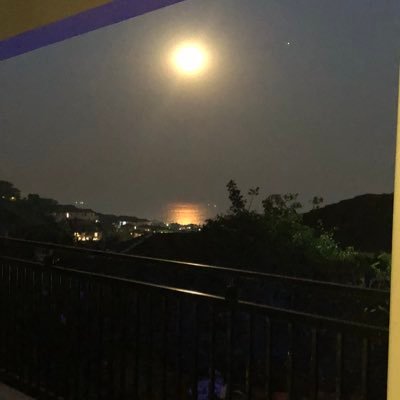 LauraCullen26's profile picture. 