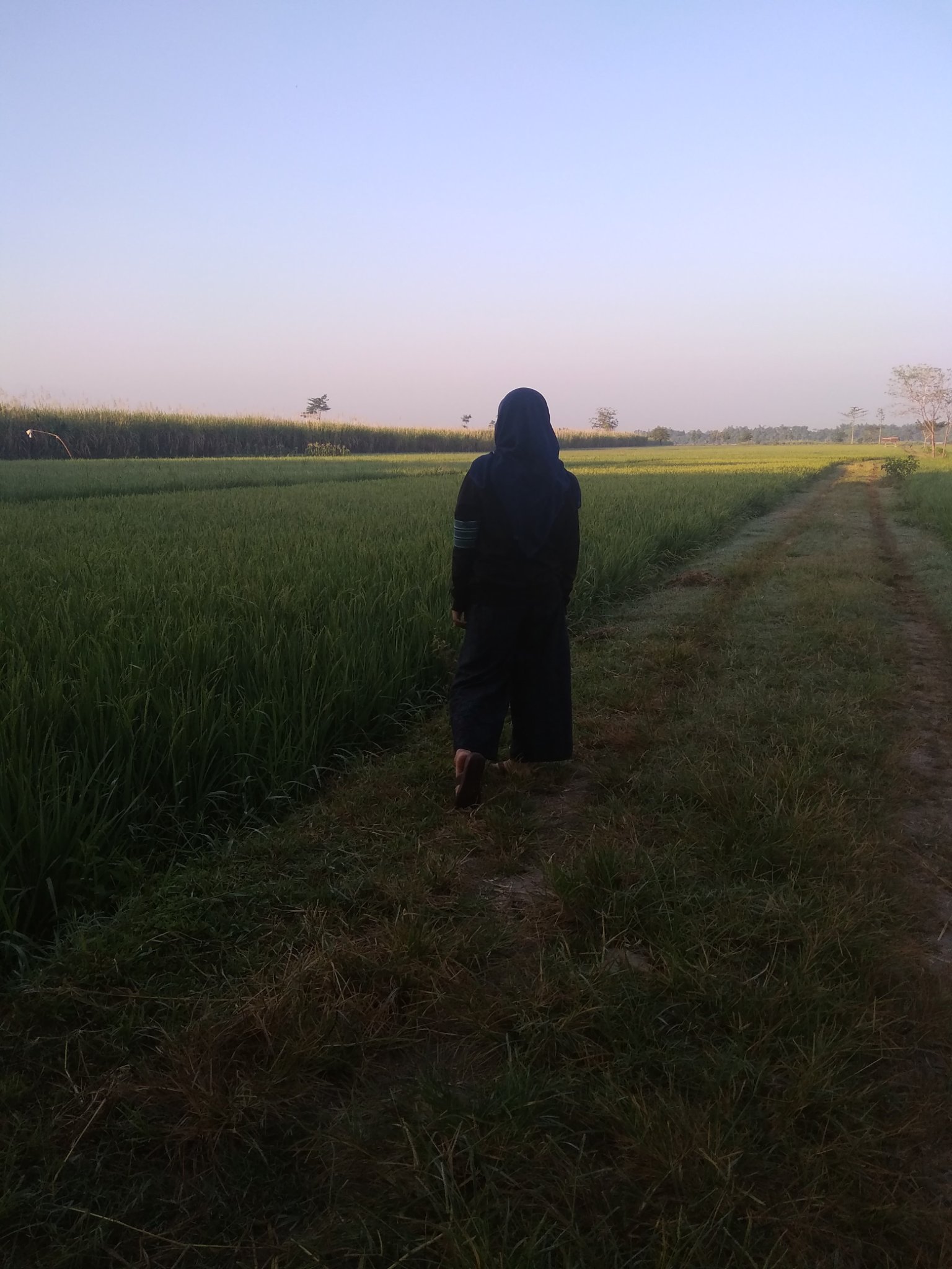 putrifardha2's profile picture. 