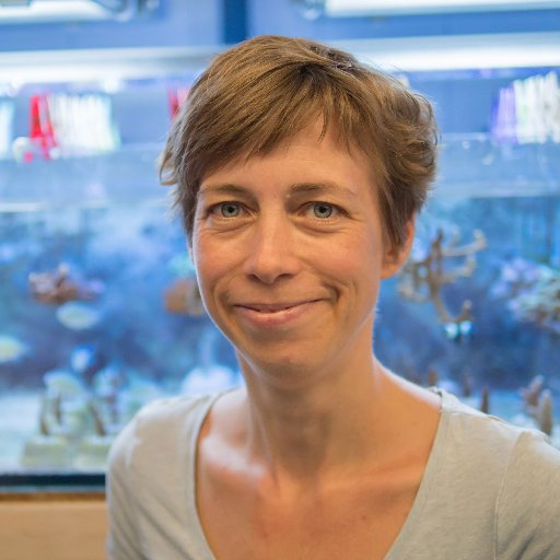 scientist & lover of all things ocean, like corals and windsurfing | #ScienceMom & #notsonewPI @jlugiessen | see @holobiomics for lab updates | she/her