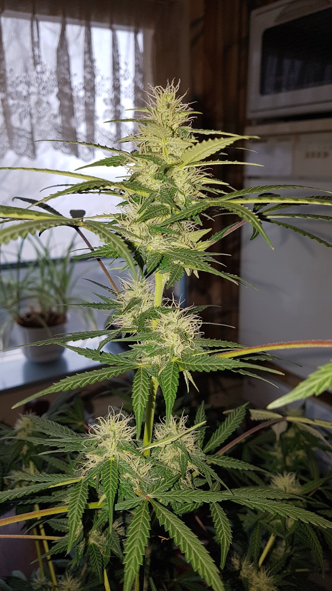 Rob58047984's profile picture. 