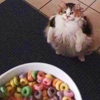 SinglePixel (@1singlepixel) 's Twitter Profile
