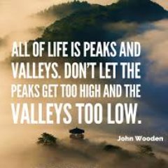 ali90492's profile picture. 