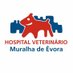 Hospital Veterinário Muralha de Évora (@hvme1) Twitter profile photo Hospital Veterinário Muralha de Évora (@hvme1) Twitter profile photo