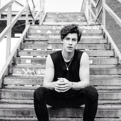 @ShawnMendes ❤️Shawn Mendes |fan account|