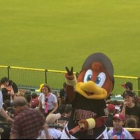 chibo (@tokai1152) 's Twitter Profile