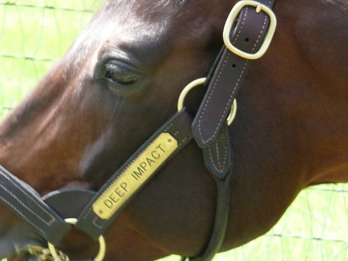 shiba_na's profile picture. 投資家してます。
主な投資先は、株、暗号資産、不動産。