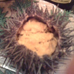 noccher's profile picture. 休日はライブ参戦、テニス、野球、ショッピングなど。