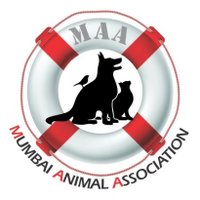 Mumbai Animal Association(@AnimalMumbai) 's Twitter Profile Photo