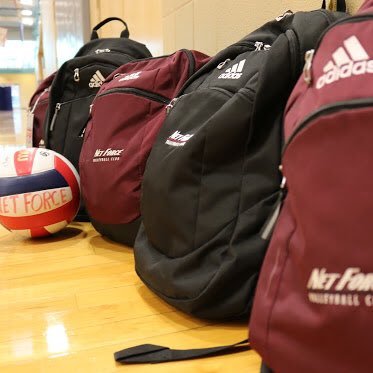 Net Force Volleyball Profile