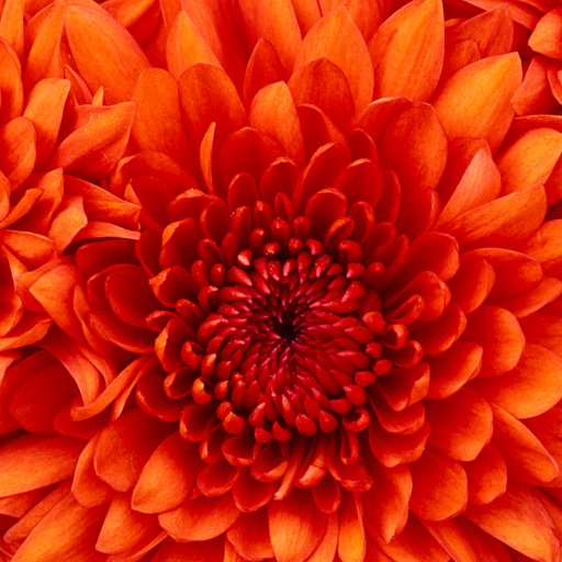 eddieheaven3's profile picture. 