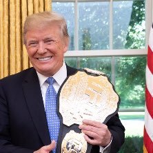 🇺🇸45th & 47th President! WWE & Playboy Groto HOF! Billionaire! Not tired of Winning yet! 🇺🇸#maketheufcgreatagain! (Parody account bringing the funny)