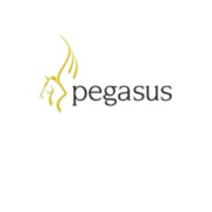 At Pegasus our aim is simple – to build the finest business tools designed.