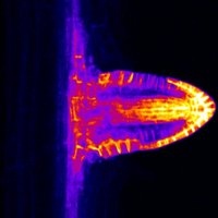 Zaigham Shahzad (@shahzadzaigham) 's Twitter Profile Photo