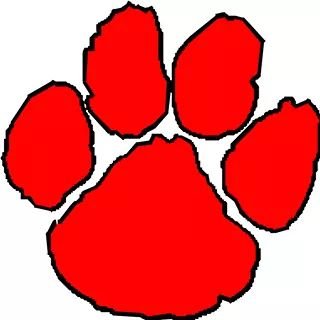 FSHSTigers Profile Picture