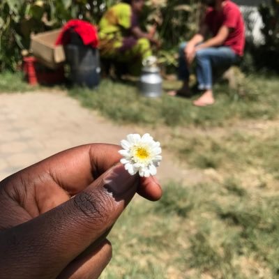 dennic_dx's profile picture. 