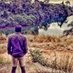 Lion (@le_tate_) Twitter profile photo Lion (@le_tate_) Twitter profile photo