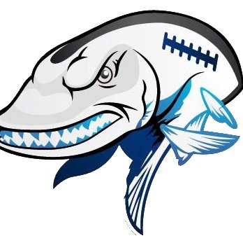 ESOXFootUSFlag Profile Picture