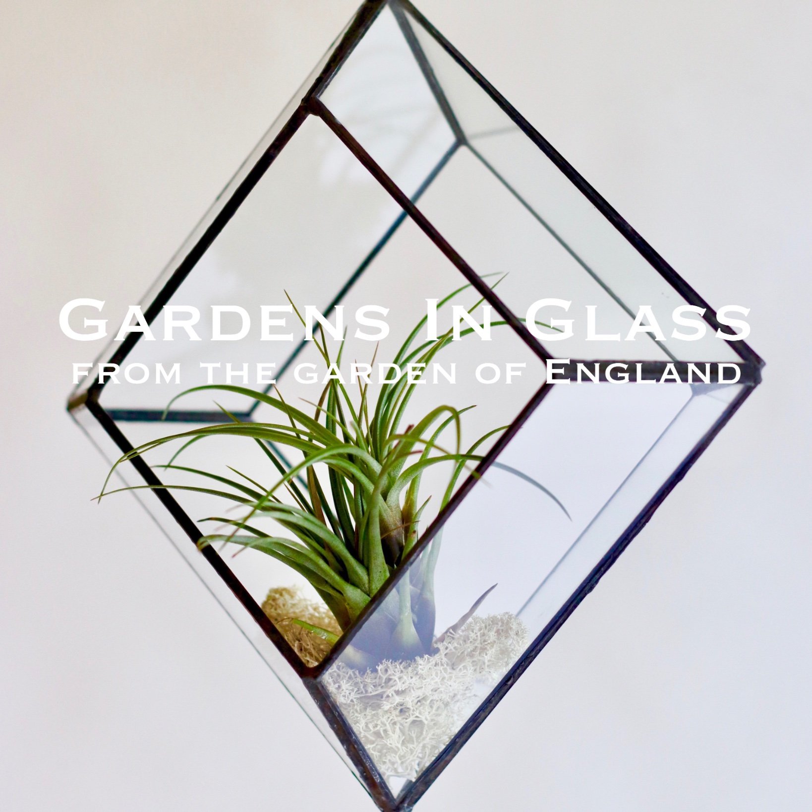 Gardens In Glass from the garden of England bring you stunning stained glass terraria and air plant hangings.