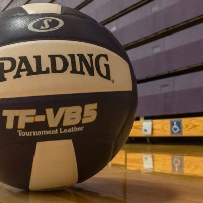 MOC-FV Lady Dutch Volleyball Profile