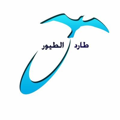 birdcontrol33's profile picture. ‏توريد وتركيب مصدات الطيور ( الحمام )
0553334460