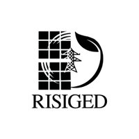 Risiged (@risiged) 's Twitter Profile