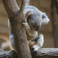 Ryu3 (@ryu300918078) 's Twitter Profile Photo