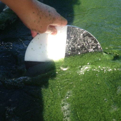 UofR Limnology Profile