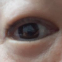 おーちゃん (@o_chan_and_yuki) Twitter profile photo