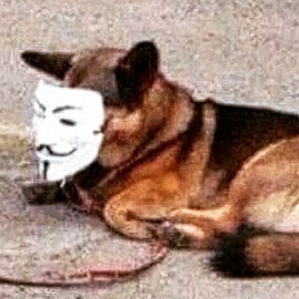 GrumpyAndFoxy's profile picture. 