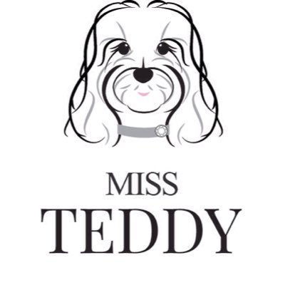My name is Miss Teddy and I’m a Maltipoo, which is dog speak for “GORGEOUS”. 📸 https://t.co/umASsTKmhx