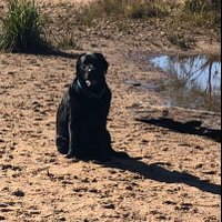Tara Hosking (@tarahosking) 's Twitter Profile Photo Tara Hosking (@tarahosking) 's Twitter Profile Photo