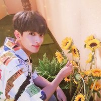 KYEOMBALAGI🌻 (@kyeombalagi) 's Twitter Profile