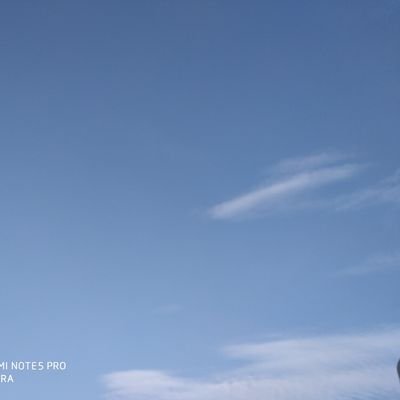 LucknowReal's profile picture. are you looking #readytomovehouse in #Lucknow ? We are the best option for you
I have 8 lac to 2cr + price range property 
you can directly call me or WhatsApp