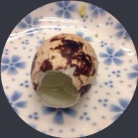 コジ・マシーン (@ore_4) 's Twitter Profile