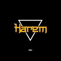 Harem(@haremfest) 's Twitter Profile Photo