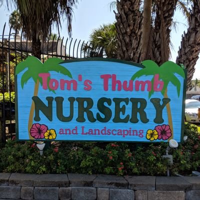 Family-owned & operated since 1975! Feature unique plants, gift, home decor, and more. 📱 (409)763-4713 🏝️ closed 12/23-1/2, reopen 1/3/22! #tomsthumbnursery