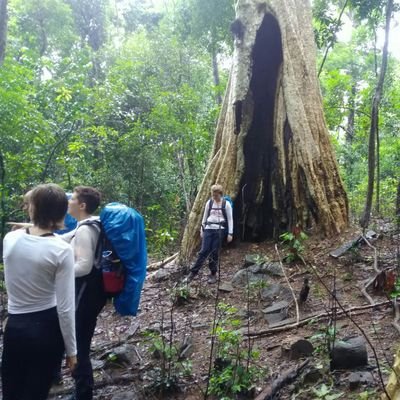 TrekkingAsia3's profile picture. We are offering jungle trekking in Ratanakiri province eastern of Cambodia 🇰🇭