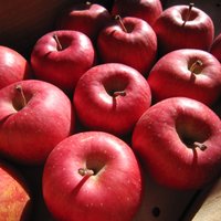 北田りんご園 (@kitadaringoen) Twitter profile photo