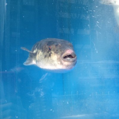 014kjjike's profile picture. 特撮・アメコミ・ドラゴンボール・クローズ・ HIGH&LOW・ 映画好き！ グラビア好き