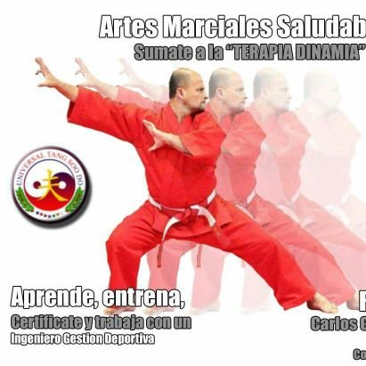 Garcia-Huidobro Carlos, Ingeniero gestión deportes, coaching artes marciales, Tai Chi laboral, formador de equipos de personas, fué superv. operac. Banco.