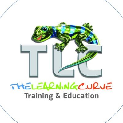 The Learning Curve Profile
