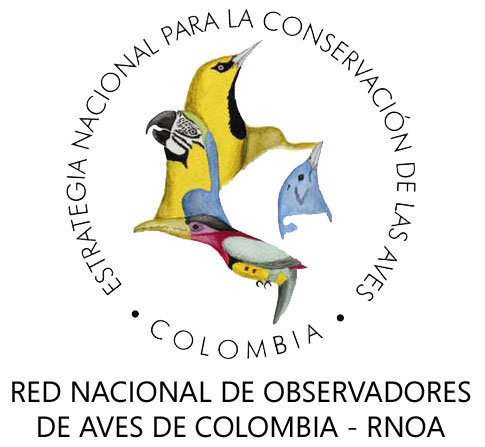 conservacion de aves colombianas
conservation the birds from colombia