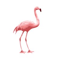 DFC (@rapflypunktnull) Twitter profile photo