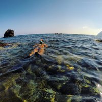 Cristi Poveda (@cpoveda7) 's Twitter Profile